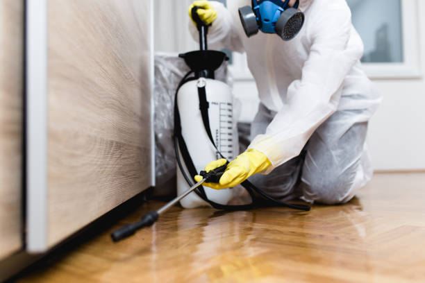 Best Exterminator Services  in Effingham, IL