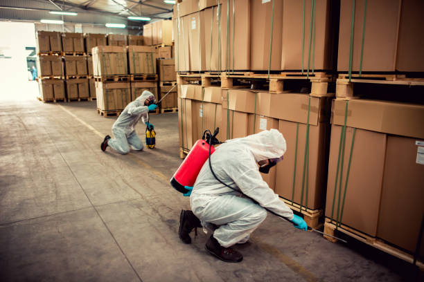 Effingham, IL Pest Control Pros