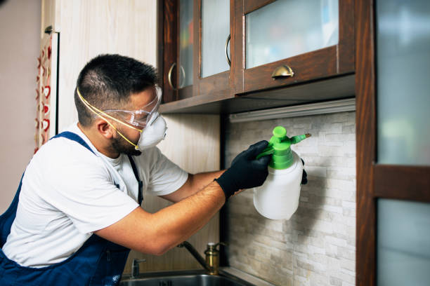 Best Emergency Pest Control  in Effingham, IL