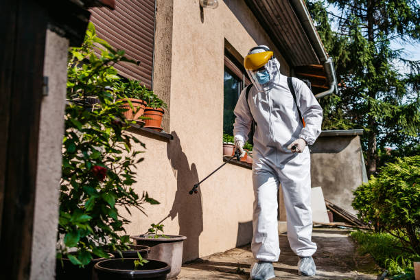 Best Spider Control Near Me  in Effingham, IL