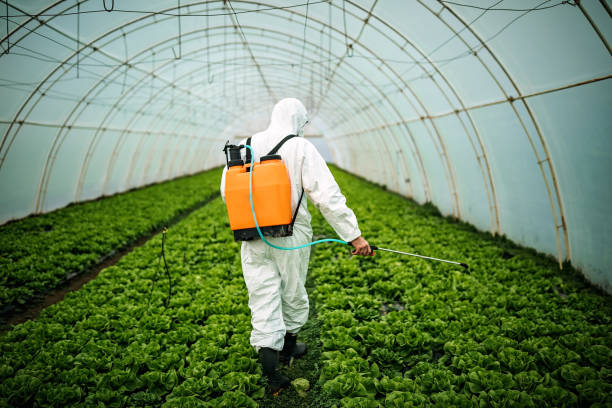 Best Commercial Pest Control Services  in Effingham, IL
