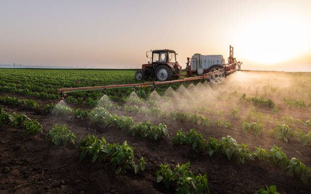 Best Pest Removal Services  in Effingham, IL