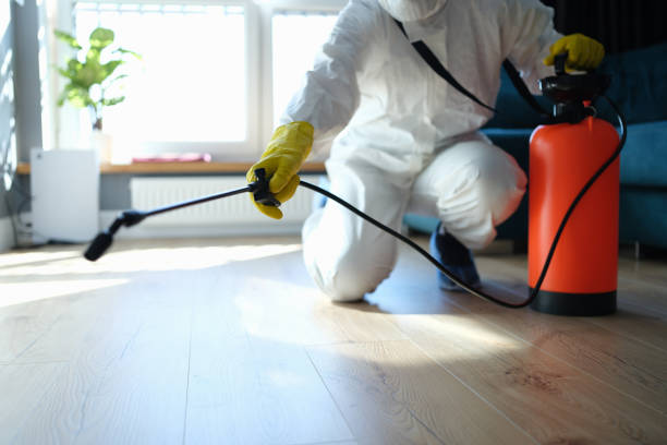 Best Pest Control Near Me  in Effingham, IL
