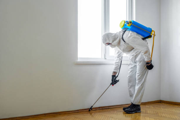 Best Best Pest Control Companies  in Effingham, IL