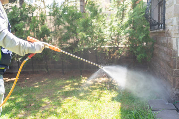 Best Pest Prevention Services  in Effingham, IL