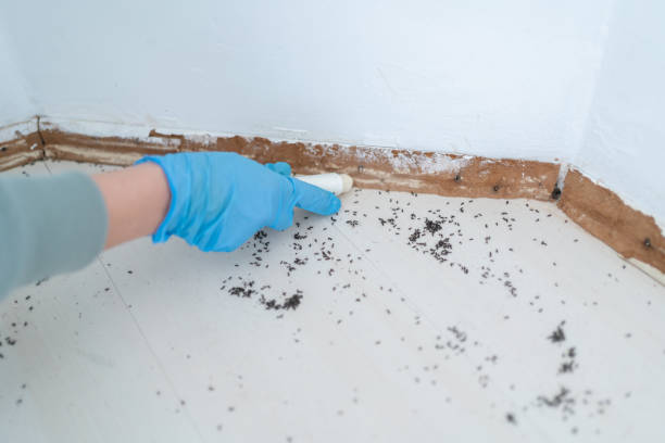Best Pest Control for Businesses  in Effingham, IL