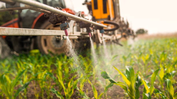 Best Best Pest Control Companies  in Effingham, IL
